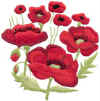 TN_bouquet coquelicots.JPG (12175 octets)