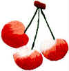TNcerises.JPG (9394 octets)